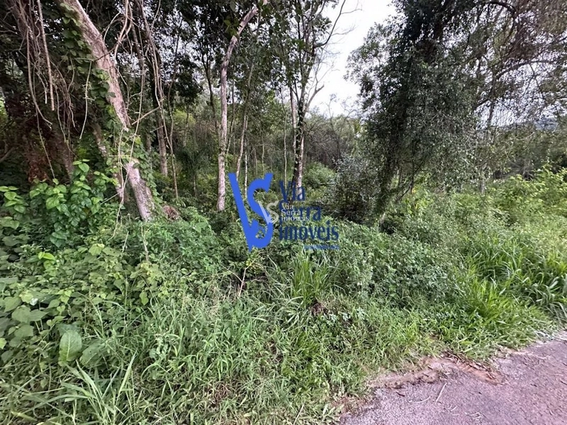 Terreno á venda, em Três Coroas/RS!: 4ª foto da galeria de imagens do imóvel