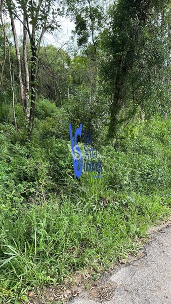 Terreno á venda, em Três Coroas/RS!: 5ª foto da galeria de imagens do imóvel