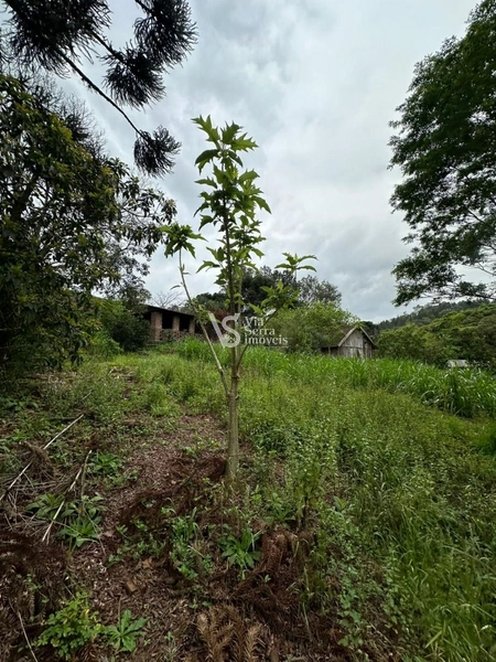 Sítio à venda, na RS-020, em Três Coroas/RS: 29ª foto da galeria de imagens do imóvel