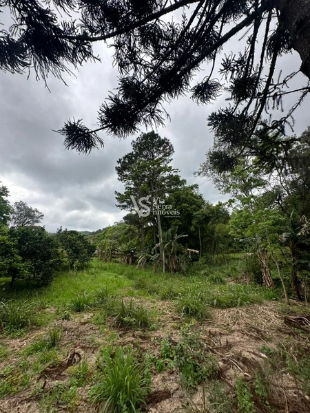 Sítio à venda, na RS-020, em Três Coroas/RS: 30ª foto da galeria de imagens do imóvel