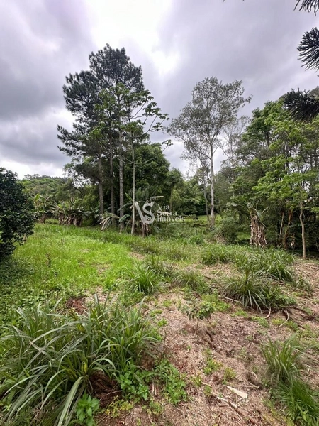 Sítio à venda, na RS-020, em Três Coroas/RS: 27ª foto da galeria de imagens do imóvel