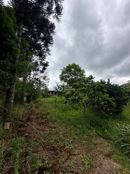 Sítio à venda, na RS-020, em Três Coroas/RS: 24ª foto da galeria de imagens do imóvel