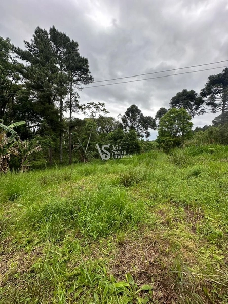 Sítio à venda, na RS-020, em Três Coroas/RS: 17ª foto da galeria de imagens do imóvel