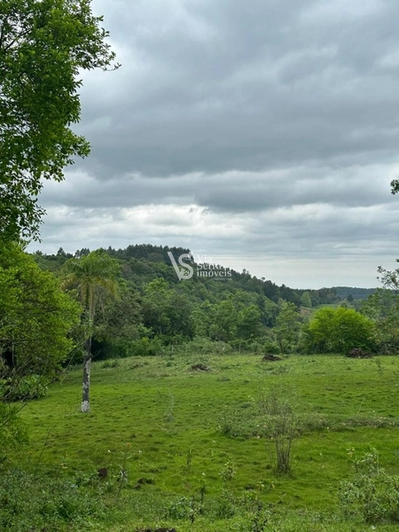 Sítio à venda, na RS-020, em Três Coroas/RS: 25ª foto da galeria de imagens do imóvel
