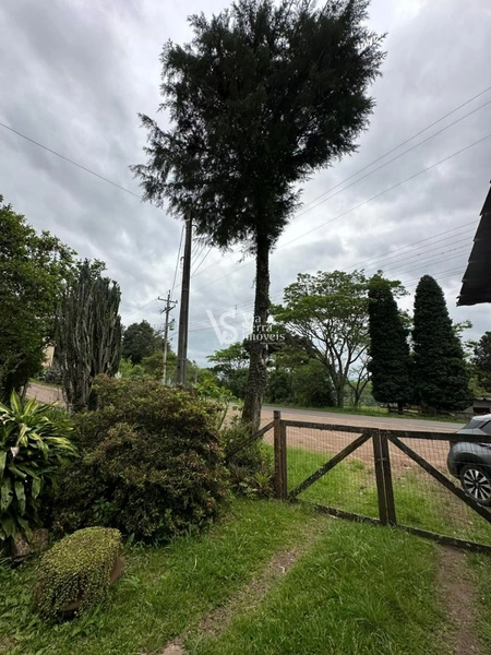 Sítio à venda, na RS-020, em Três Coroas/RS: 21ª foto da galeria de imagens do imóvel