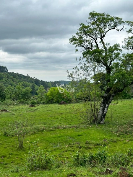 Sítio à venda, na RS-020, em Três Coroas/RS: 28ª foto da galeria de imagens do imóvel