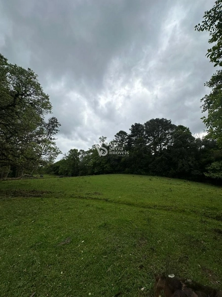 Sítio à venda, na RS-020, em Três Coroas/RS: 19ª foto da galeria de imagens do imóvel