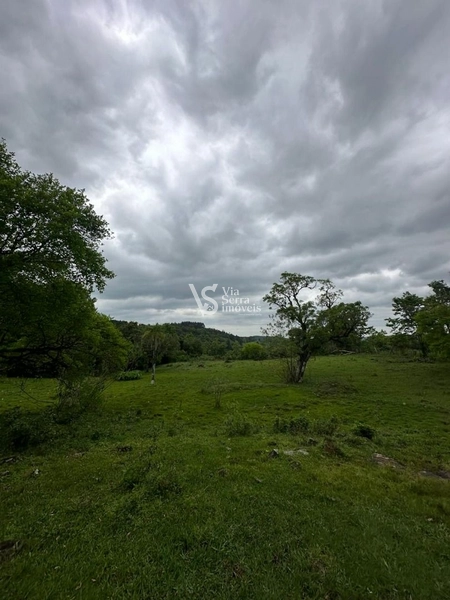 Sítio à venda, na RS-020, em Três Coroas/RS: 20ª foto da galeria de imagens do imóvel