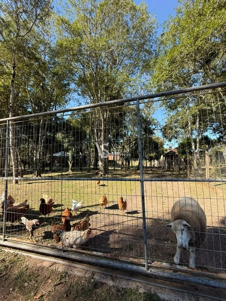 Sítio em Serra Grande!: 6ª foto da galeria de imagens do imóvel