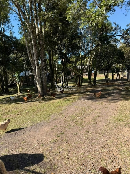 Sítio em Serra Grande!: 4ª foto da galeria de imagens do imóvel