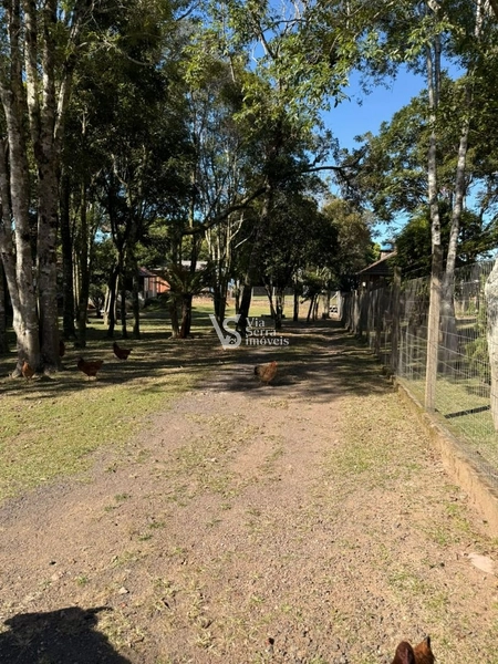 Sítio em Serra Grande!: 2ª foto da galeria de imagens do imóvel