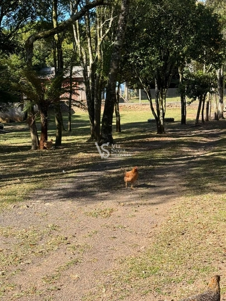 Sítio em Serra Grande!: 7ª foto da galeria de imagens do imóvel