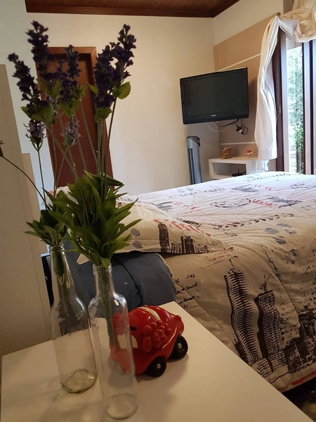 Sítio à venda, em São Francisco de Paula/RS!: 15ª foto da galeria de imagens do imóvel