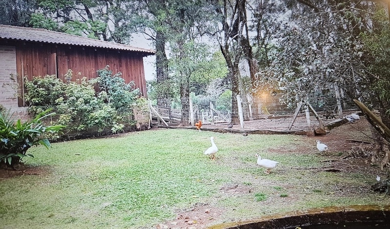 Sítio à venda, em São Francisco de Paula/RS!: 19ª foto da galeria de imagens do imóvel