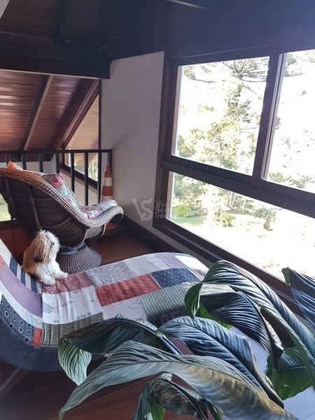 Sítio à venda, em São Francisco de Paula/RS!: 11ª foto da galeria de imagens do imóvel