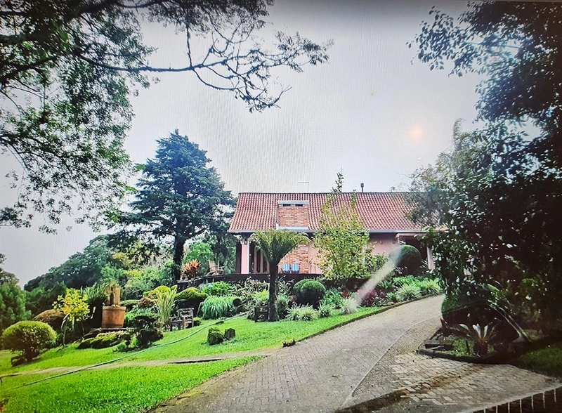 Sítio à venda, em São Francisco de Paula/RS!: 3ª foto da galeria de imagens do imóvel