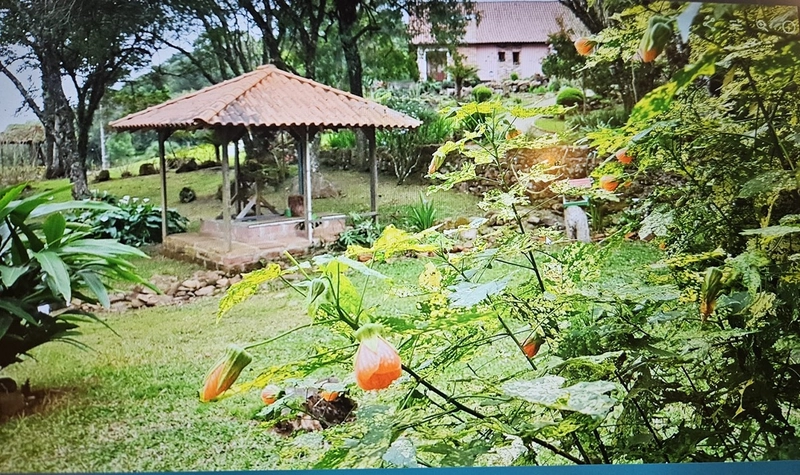Sítio à venda, em São Francisco de Paula/RS!: 22ª foto da galeria de imagens do imóvel