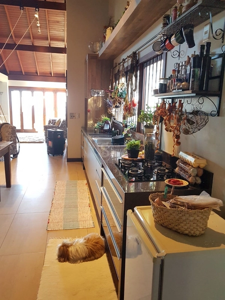 Sítio à venda, em São Francisco de Paula/RS!: 5ª foto da galeria de imagens do imóvel