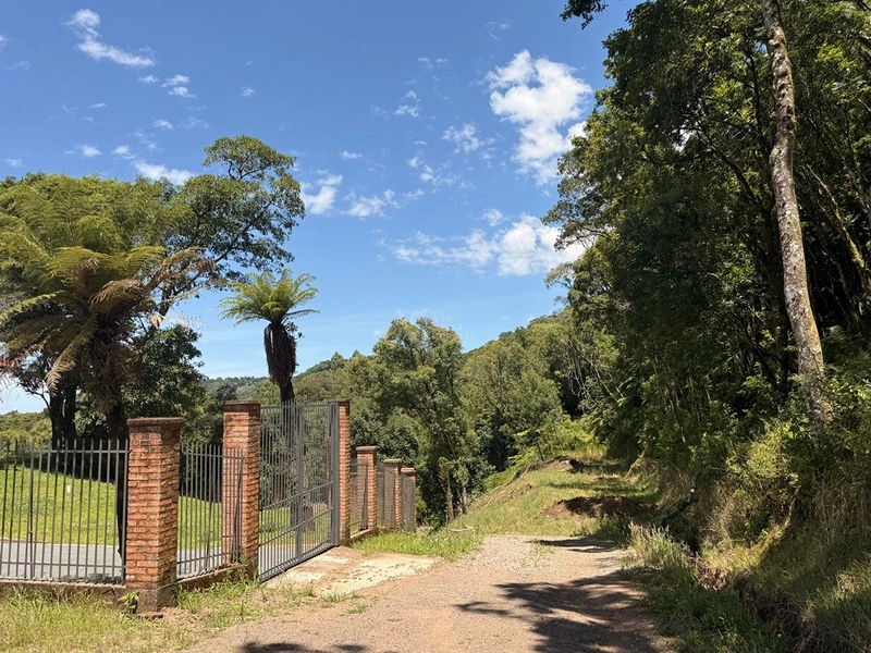 Sítio charmoso em Serra Grande/RS!: 8ª foto da galeria de imagens do imóvel