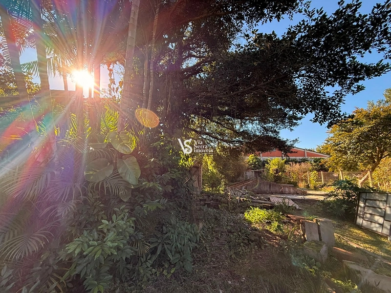 Terreno: 1ª foto da galeria de imagens do imóvel
