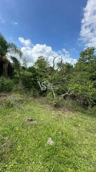 Lindo Sítio na Estrada Velha!: 14ª foto da galeria de imagens do imóvel