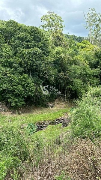 Lindo Sítio na Estrada Velha!: 5ª foto da galeria de imagens do imóvel