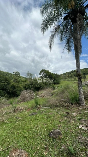 Lindo Sítio na Estrada Velha!: 3ª foto da galeria de imagens do imóvel
