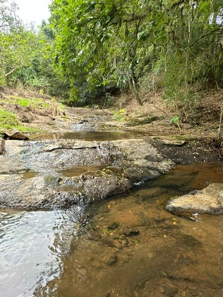 Lindo Sítio na Estrada Velha!: 8ª foto da galeria de imagens do imóvel