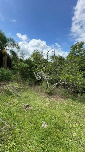 Lindo Sítio na Estrada Velha!: 15ª foto da galeria de imagens do imóvel