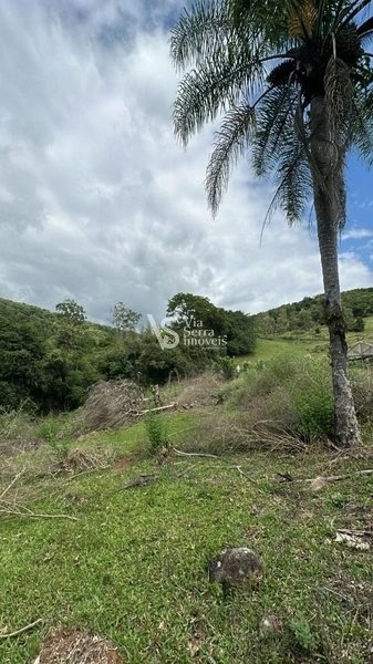 Lindo Sítio na Estrada Velha!: 7ª foto da galeria de imagens do imóvel