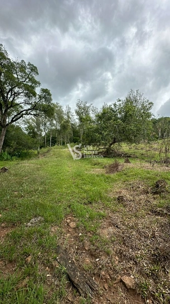 Lindo Sítio na Estrada Velha!: 13ª foto da galeria de imagens do imóvel