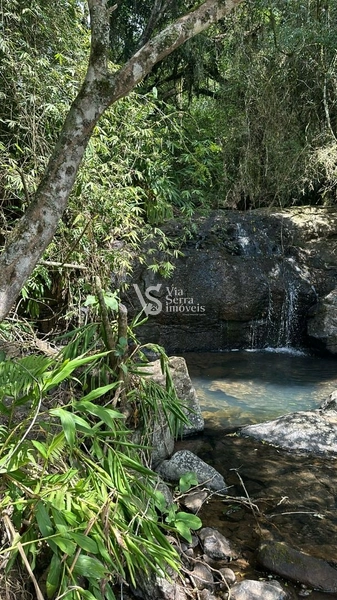 Lindo Sítio na Estrada Velha!: 10ª foto da galeria de imagens do imóvel