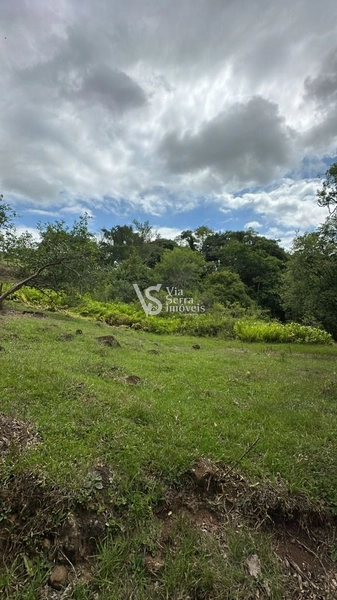 Lindo Sítio na Estrada Velha!: 11ª foto da galeria de imagens do imóvel