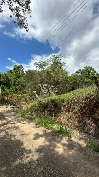 Lindo Sítio na Estrada Velha!: 4ª foto da galeria de imagens do imóvel