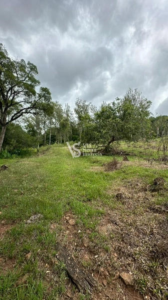 Lindo Sítio na Estrada Velha!: 12ª foto da galeria de imagens do imóvel