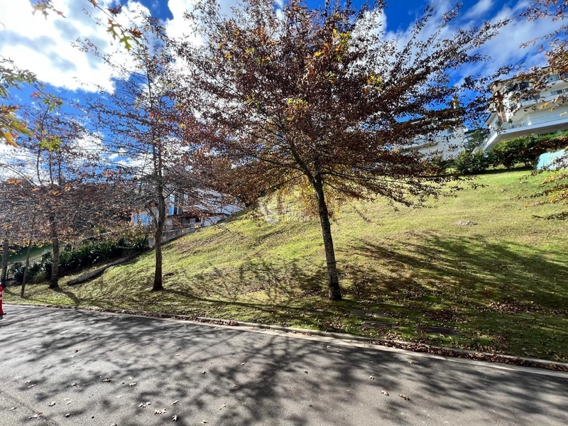 Terreno no Condomínio Alphaville, Gramado/RS!: 11ª foto da galeria de imagens do imóvel