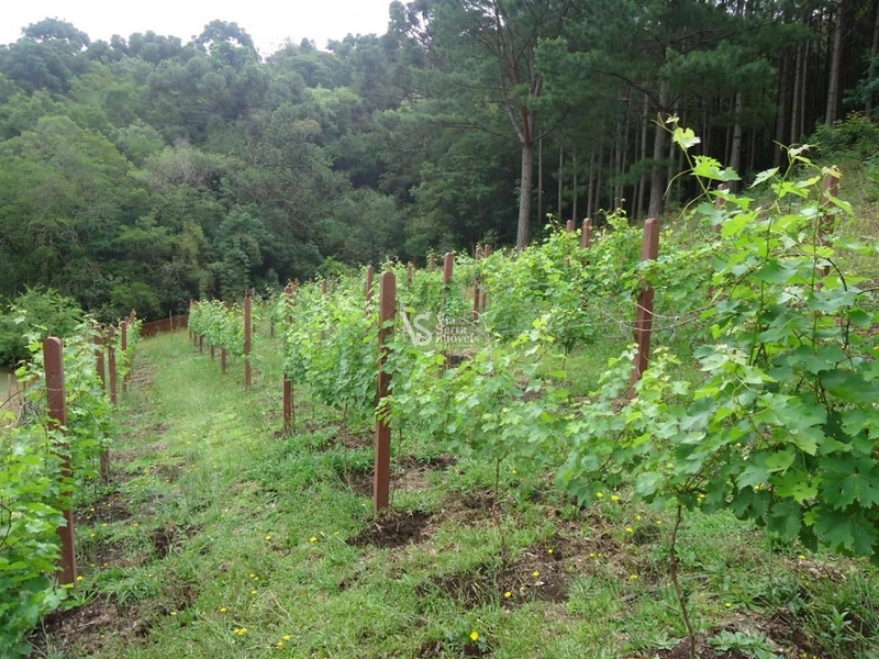Parque Ecológico e Pousada à Venda!: 13ª foto da galeria de imagens do imóvel