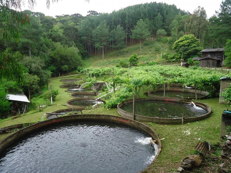 Parque Ecológico e Pousada à Venda!: 21ª foto da galeria de imagens do imóvel