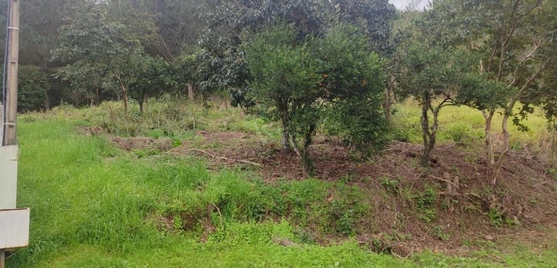 Terreno à venda no Figueira, Igrejinha/RS!: 2ª foto da galeria de imagens do imóvel