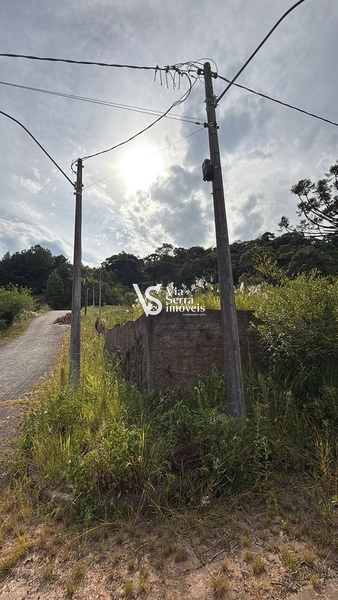 Terreno à venda em Três Coroas em locação privilegiada!: 5ª foto da galeria de imagens do imóvel