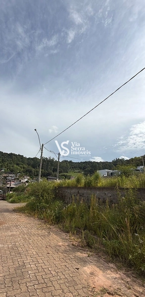 Terreno à venda em Três Coroas em locação privilegiada!: 3ª foto da galeria de imagens do imóvel