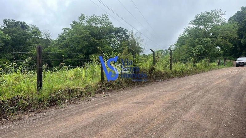 Sítio à venda, Solitária, em Igrejinha/RS!: 6ª foto da galeria de imagens do imóvel