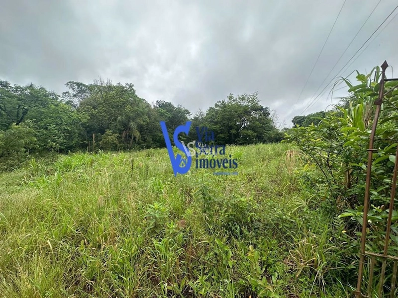 Sítio à venda, Solitária, em Igrejinha/RS!: 15ª foto da galeria de imagens do imóvel