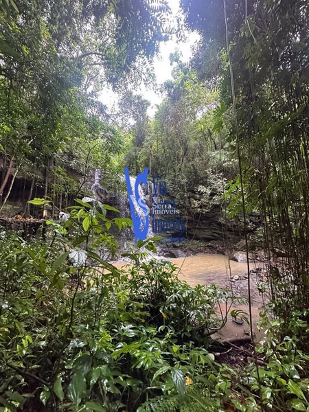 Sítio à venda, Solitária, em Igrejinha/RS!: 12ª foto da galeria de imagens do imóvel