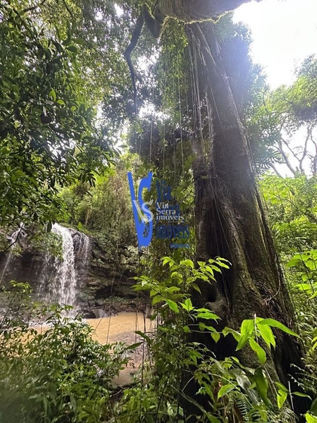 Sítio à venda, Solitária, em Igrejinha/RS!: 10ª foto da galeria de imagens do imóvel