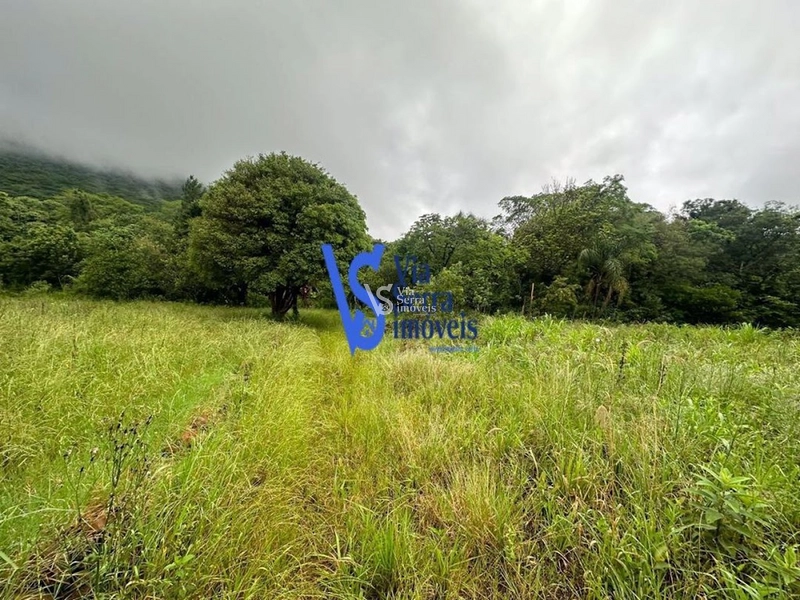 Sítio à venda, Solitária, em Igrejinha/RS!: 5ª foto da galeria de imagens do imóvel