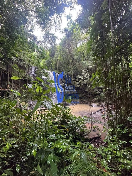 Sítio à venda, Solitária, em Igrejinha/RS!: 7ª foto da galeria de imagens do imóvel