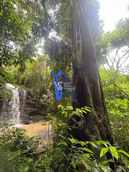 Sítio à venda, Solitária, em Igrejinha/RS!: 8ª foto da galeria de imagens do imóvel