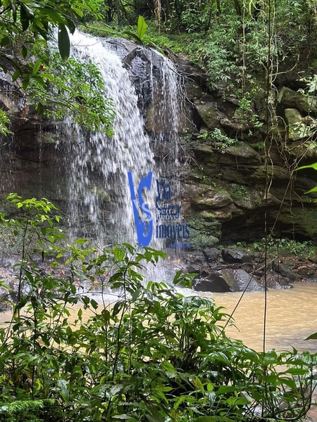 Sítio à venda, Solitária, em Igrejinha/RS!: 14ª foto da galeria de imagens do imóvel