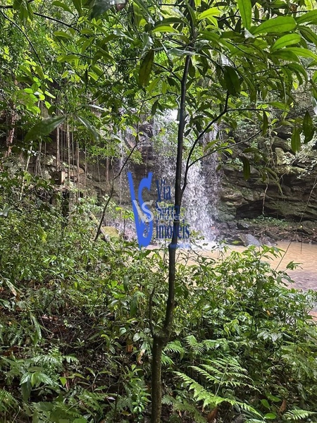 Sítio à venda, Solitária, em Igrejinha/RS!: 11ª foto da galeria de imagens do imóvel